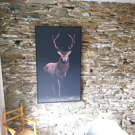 펜션 Laforestiere, Ruime Authentieke Vakantiewoning In De Vallei De Semois *